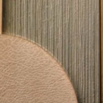 Detalle del relieve: Vetas